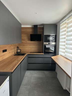 Apartment in Ostrava, Ostrava